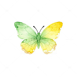 水彩蝴蝶彩绘装饰素材