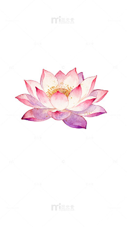 AI生成荷花艺术插画