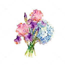 水彩花卉装饰画