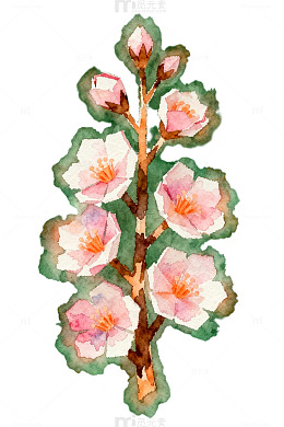 水彩花卉树枝装饰画
