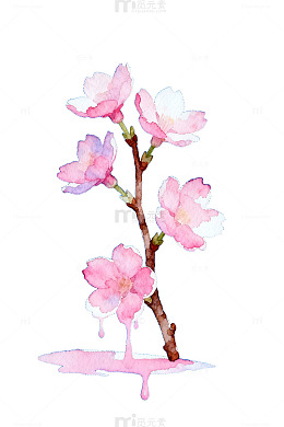 水彩樱花美景装饰画