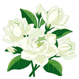 卡通茉莉花元素