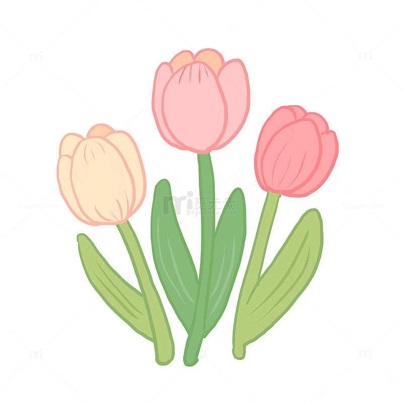 手绘卡通春天郁金香植物免抠元素