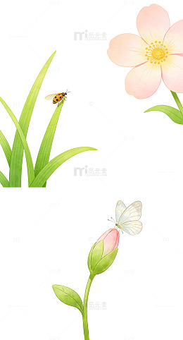 自然治愈风的惊蛰节气