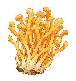 水彩画金黄蘑菇插画素材