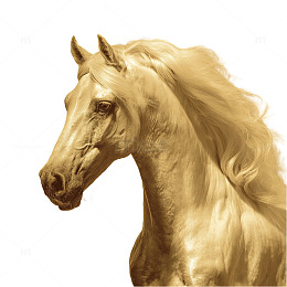 金色骏马插画艺术