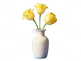 简约花瓶黄花艺术照