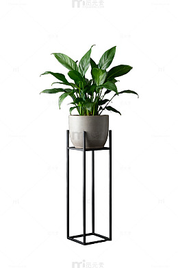 现代简约绿植装饰设计