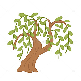 春季树叶柳树免抠元素