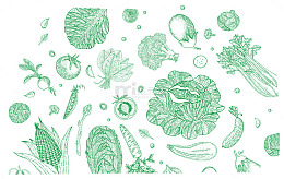 蔬菜手绘线稿线描素描图