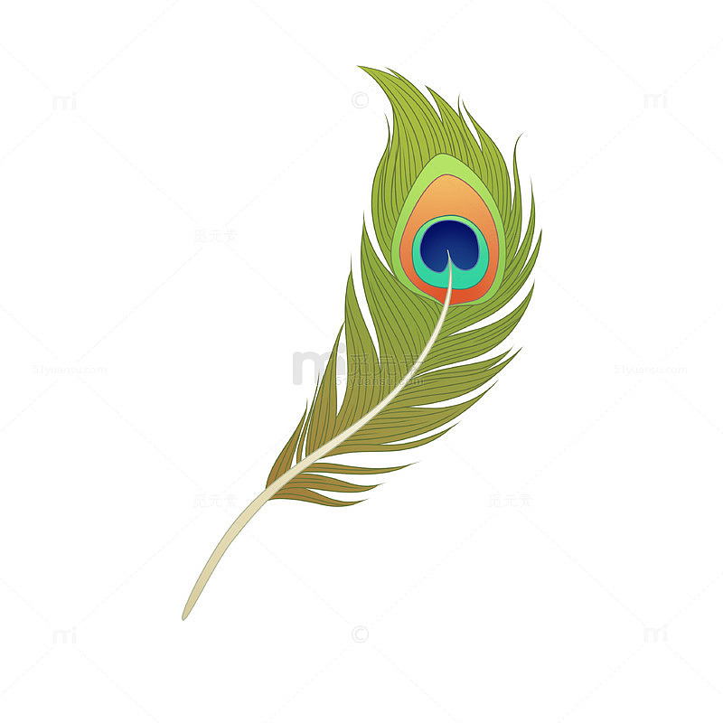 卡通孔雀羽毛插画