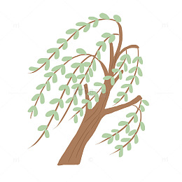 春天柳树免抠元素