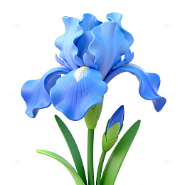 蓝色鸢尾花插画设计元素