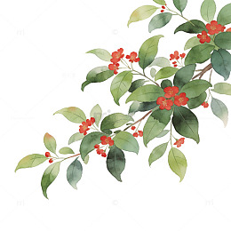 工笔花鸟画红花绿叶图