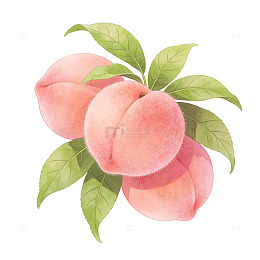 水彩桃子水果插画设计素材