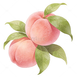 手绘风格桃子插画设计素材