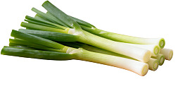 新鲜绿色葱段特写图片