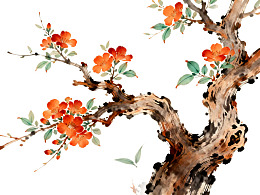 古树枝头绽放橙色花朵