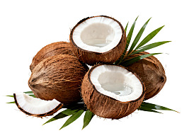 新鲜椰子与绿叶装饰图片