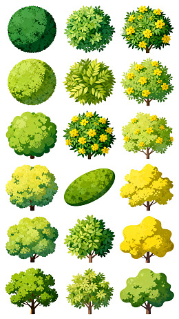 多种多样树形与色彩的植物插画