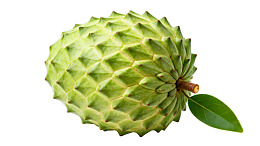 新鲜绿色释迦果特写图片