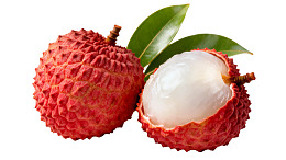 新鲜荔枝果实特写图片