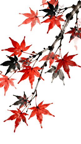 红黑枫叶枝条水墨画图片