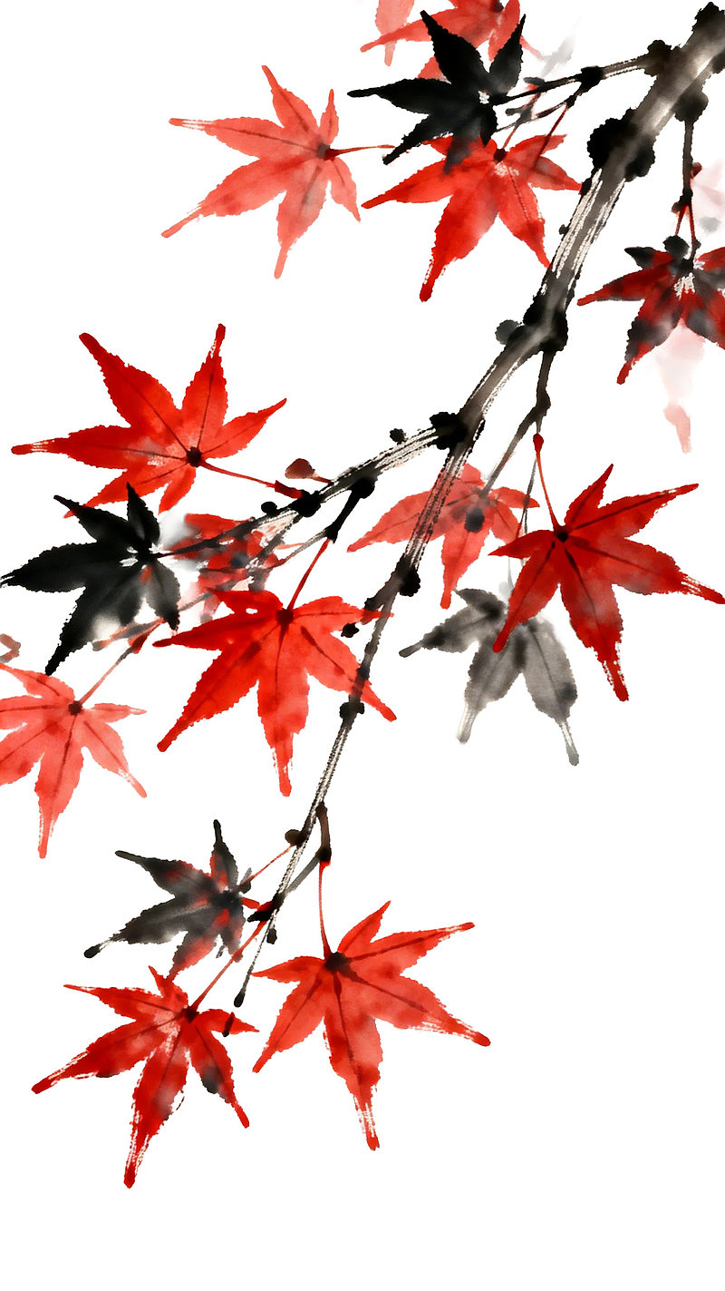 红黑枫叶枝条水墨画图片