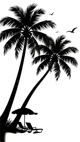 椰树沙滩剪影与飞鸟图片