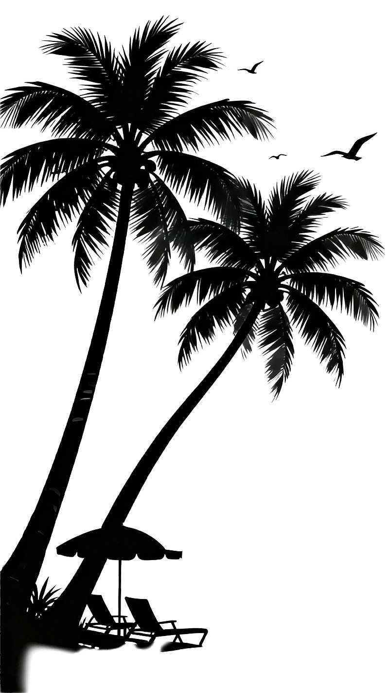 椰树沙滩剪影与飞鸟图片