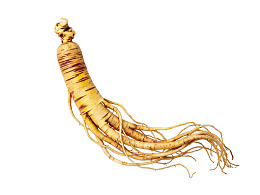 人参根部特写图片