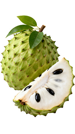 番荔枝果实切面展示图片