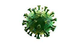 绿色病毒颗粒特写图片