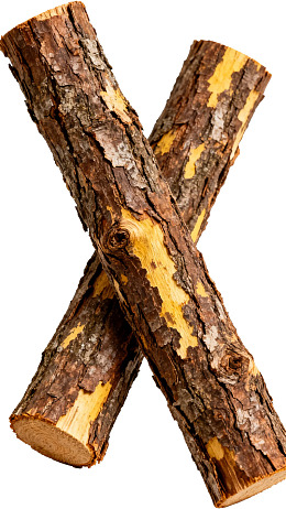 两根交叉的树干图片