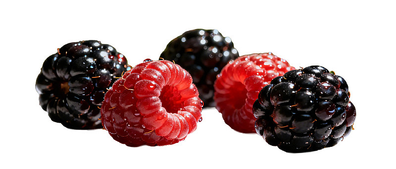 黑莓与红莓新鲜对比展示