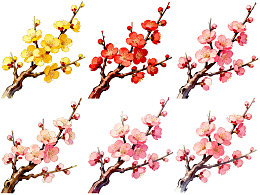六种颜色梅花枝条艺术插画
