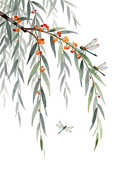 柳枝花蜻蜓水彩画图片