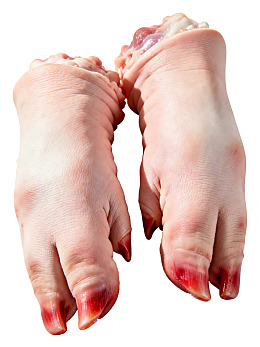 新鲜猪蹄特写图片