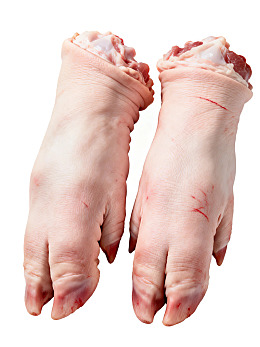 两只新鲜猪蹄特写图片