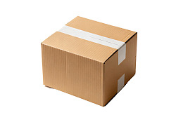 白色背景上的封口纸箱