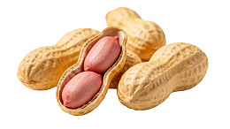 花生仁与带壳花生的特写