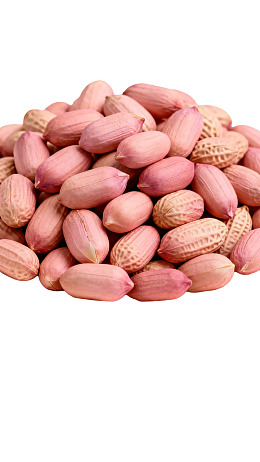 一堆带壳花生图片