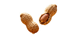 两颗花生一完整一剥开