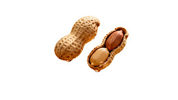 花生壳与花生仁特写图片