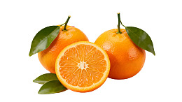 新鲜橙子切片展示图片