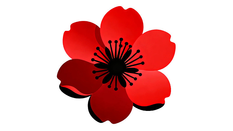 红色花瓣花朵图案图片