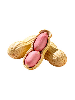 带壳花生露出粉红果仁