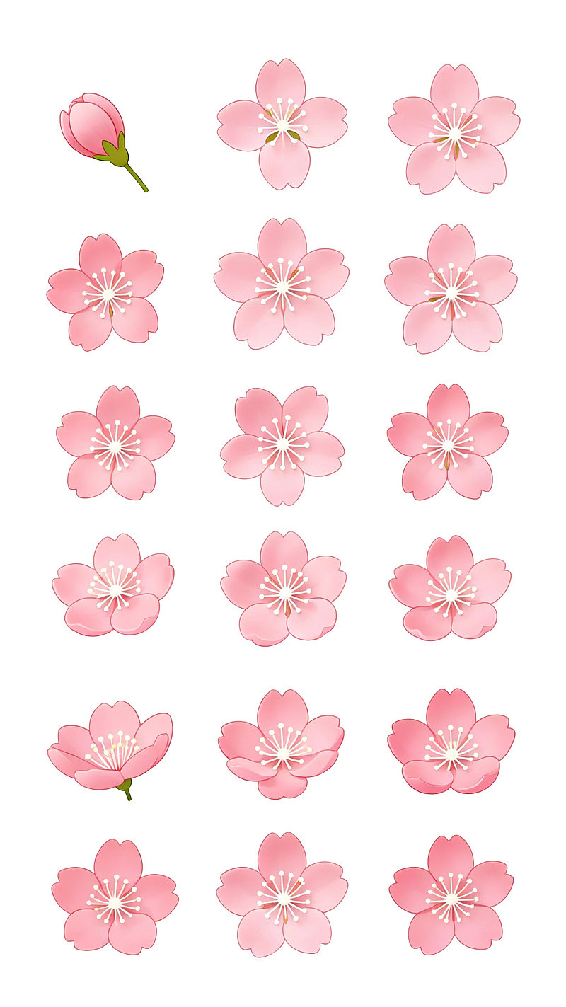 粉色樱花花朵排列图图片