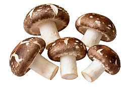 新鲜香菇堆叠展示图片