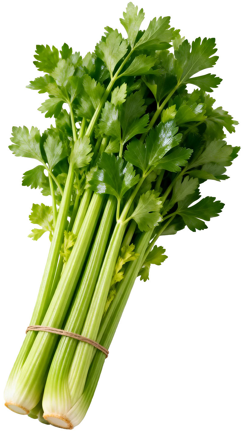 新鲜芹菜束图片